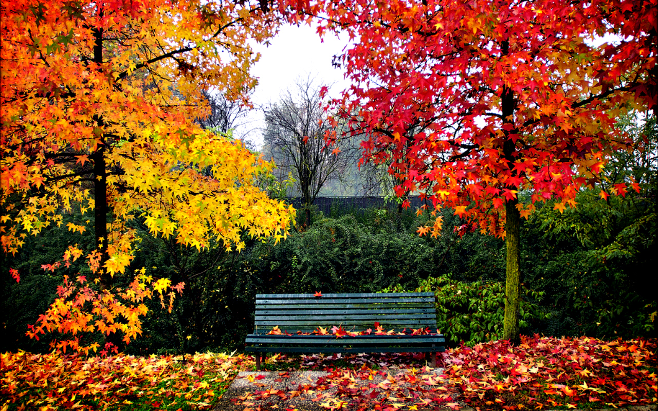 Fotos-bonitas-de-paisajes-de-otoño-para-subir-al-facebook | CEIP JOSÉ  MANUEL BLECUA